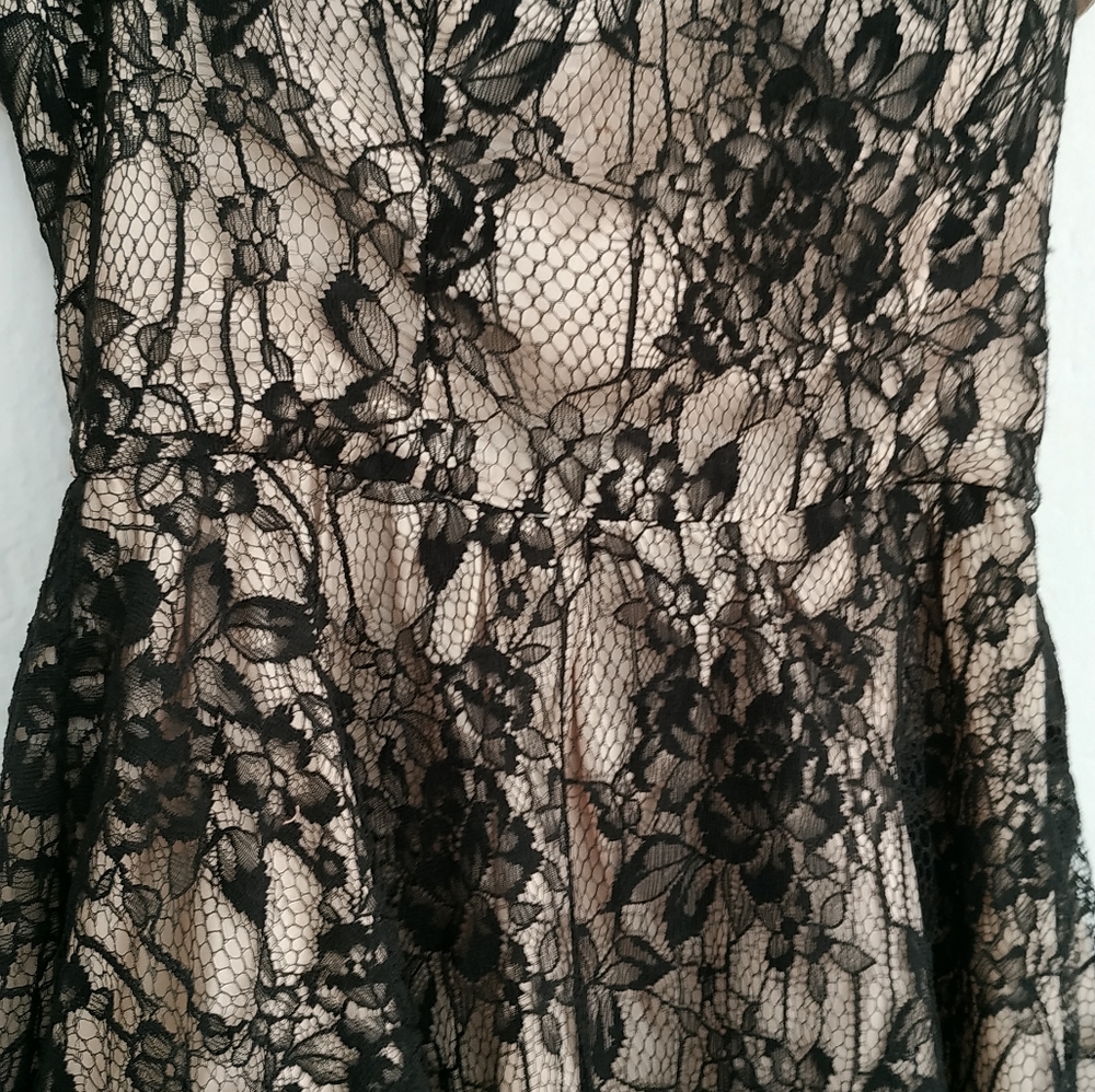 Lace tube dress - Picture 5 of 9